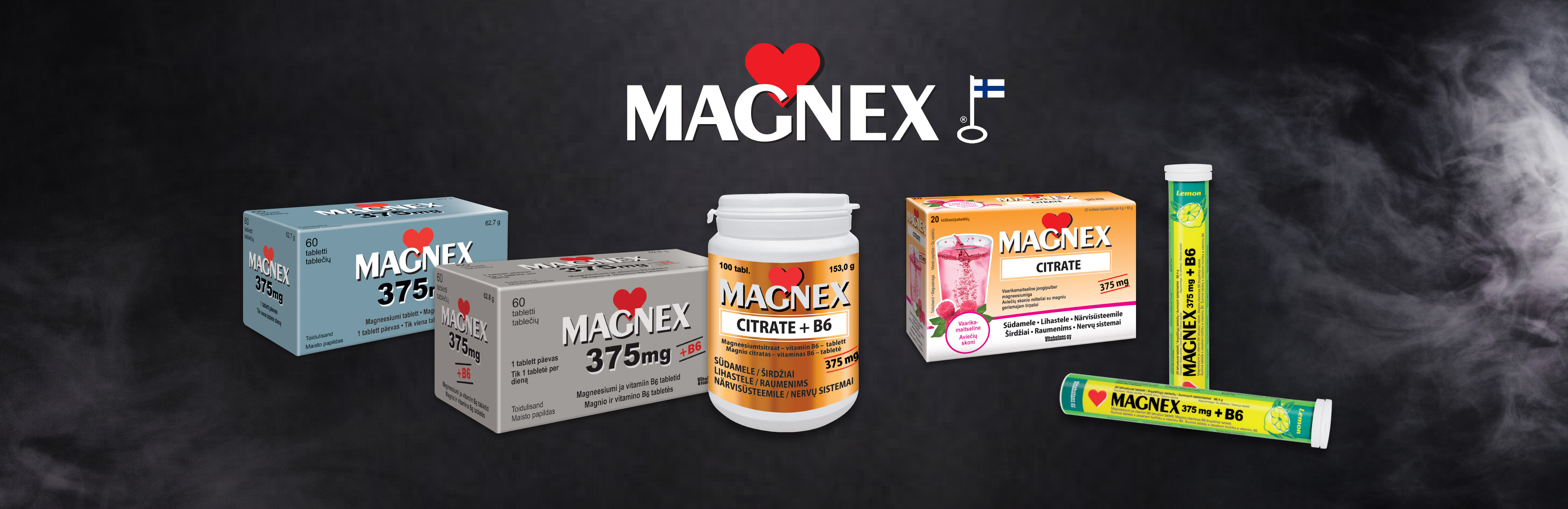 Magnex produktų šeima – Magnex